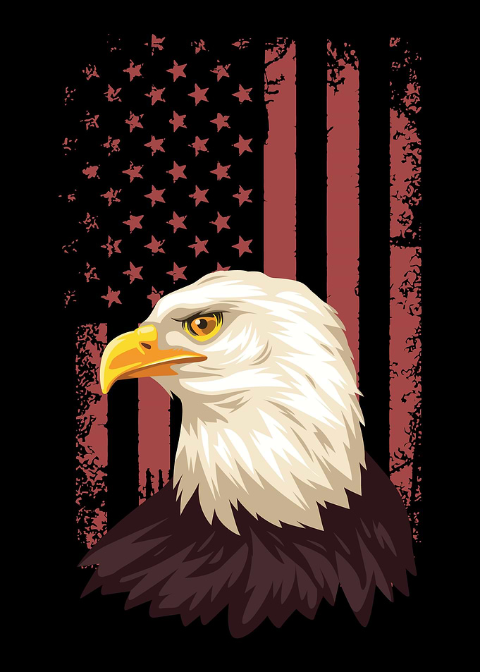 Eagle Flag Red Bald Eagle