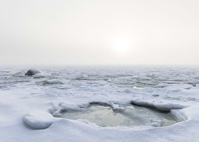 Fog and snow