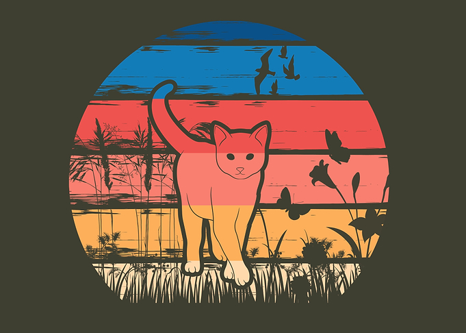 Sunset Cat