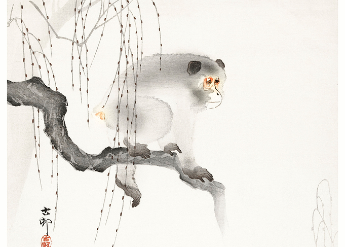Monkey on a Tree Branch