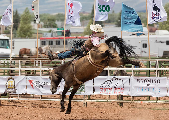 Bucking Bronchos