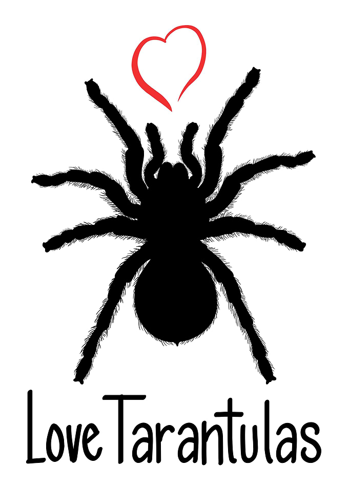 Love Tarantulas