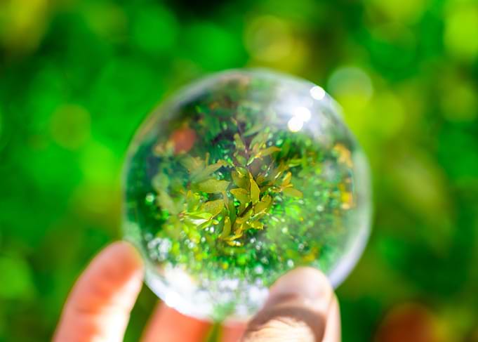Crystal Ball
