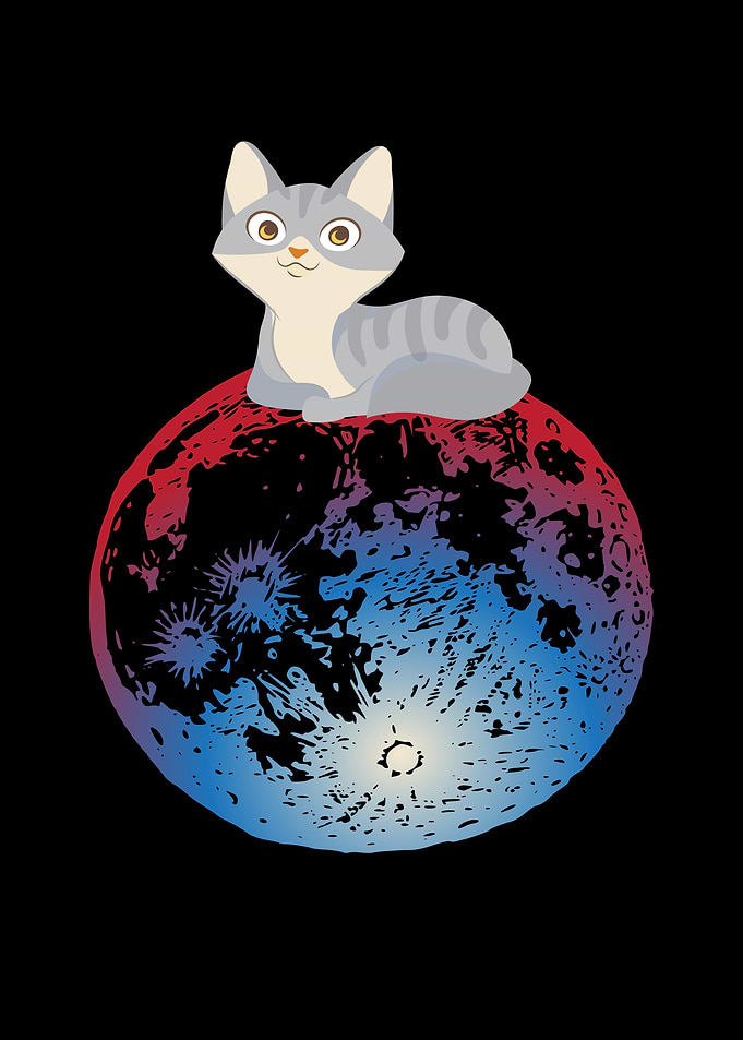 Moon Full Moon Cat