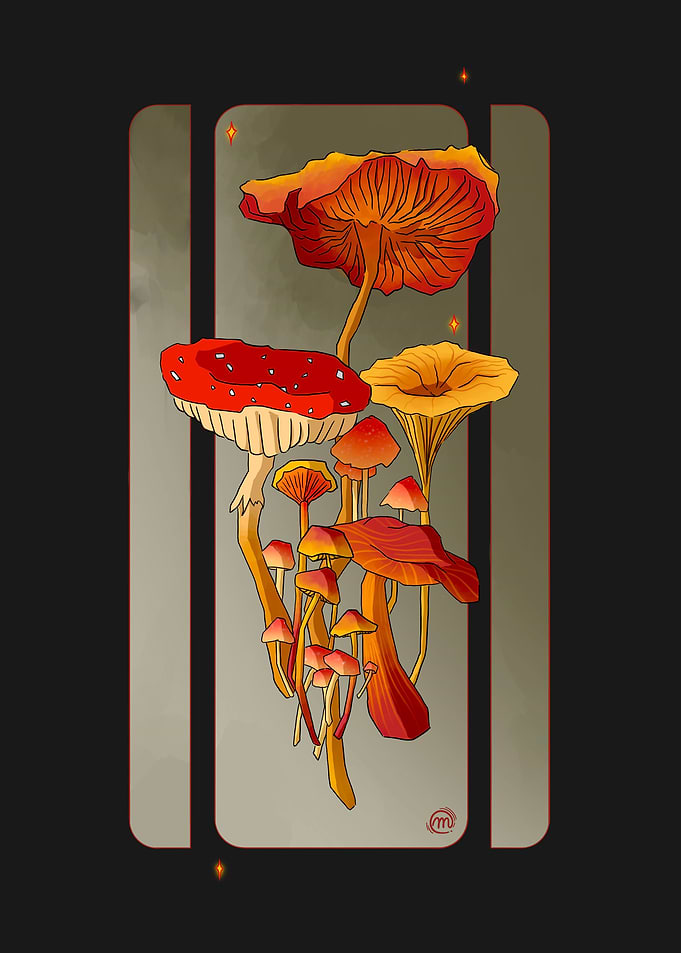 Magic Mushrooms