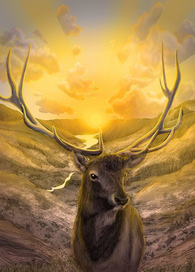 Rise with the Sun