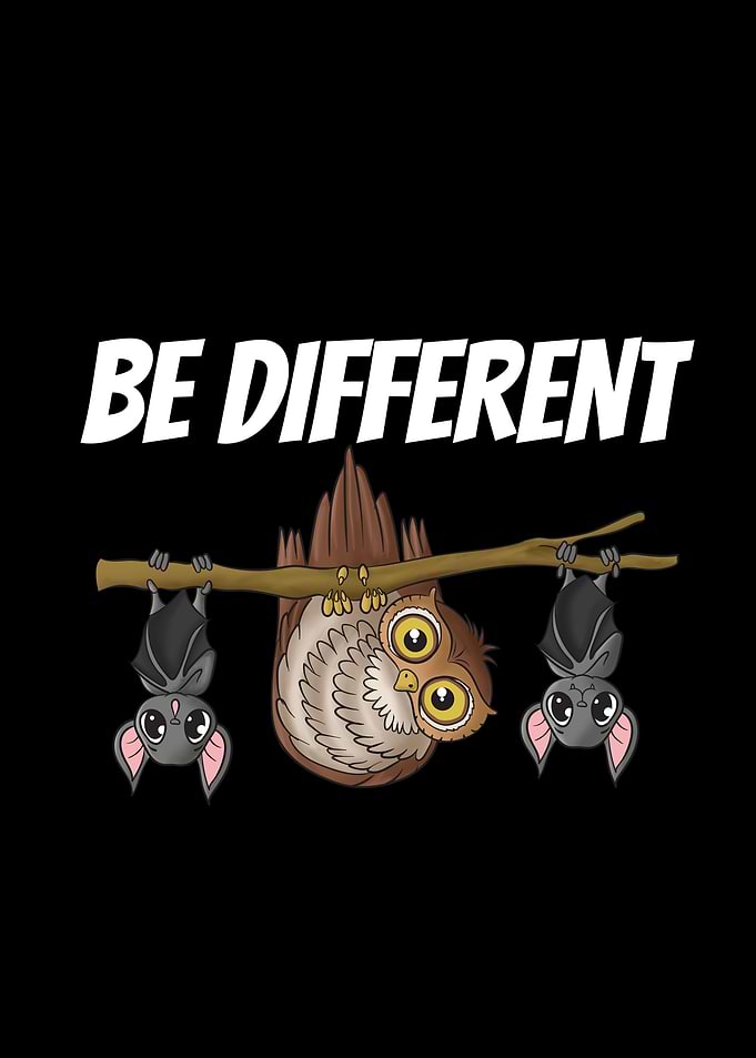 Owl Bat