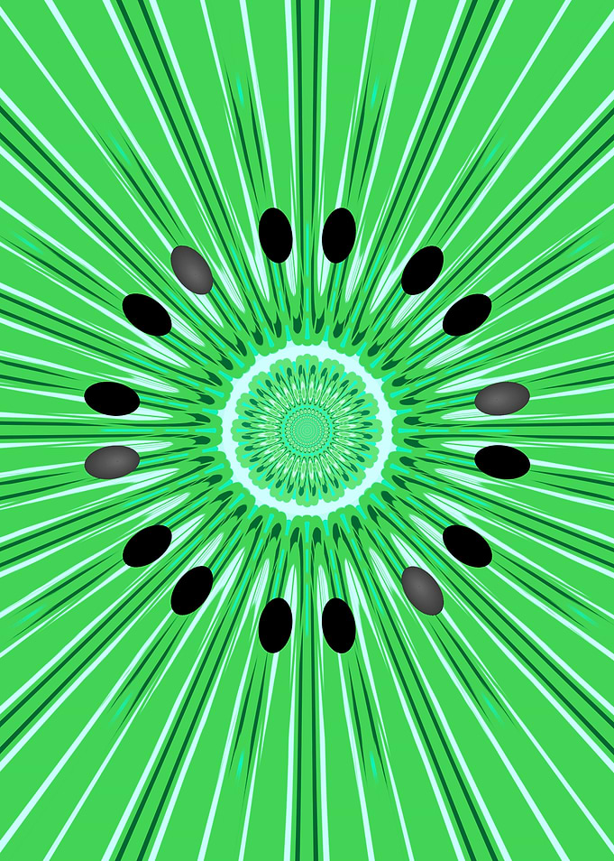 Digital art kiwi