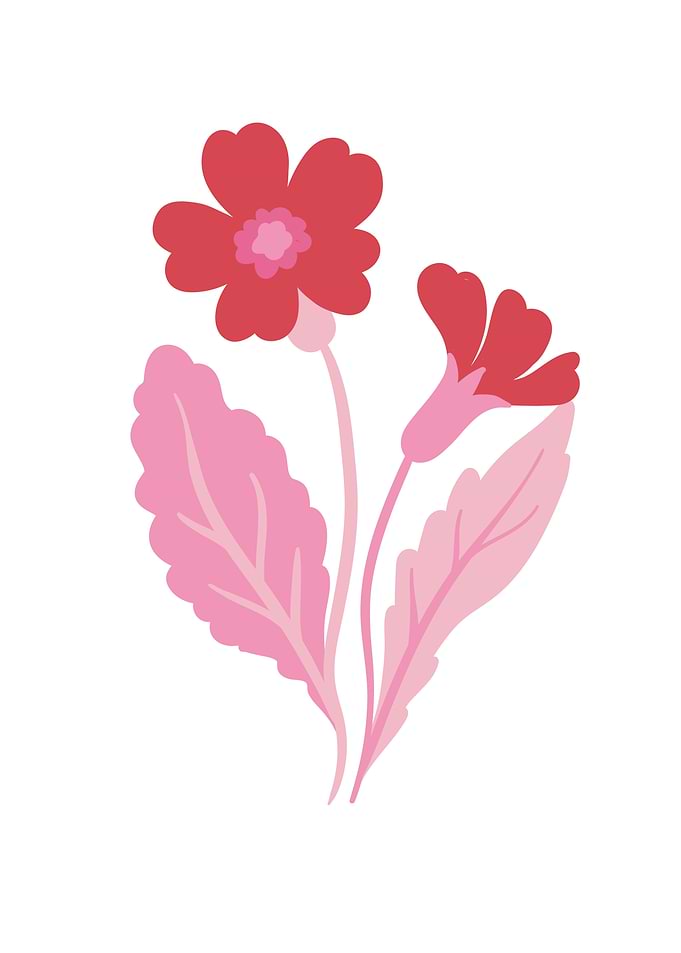Pink flower botanical art