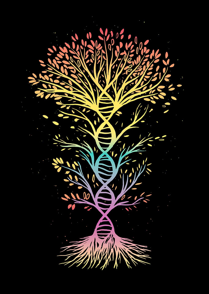 Colorful DNA tree of life