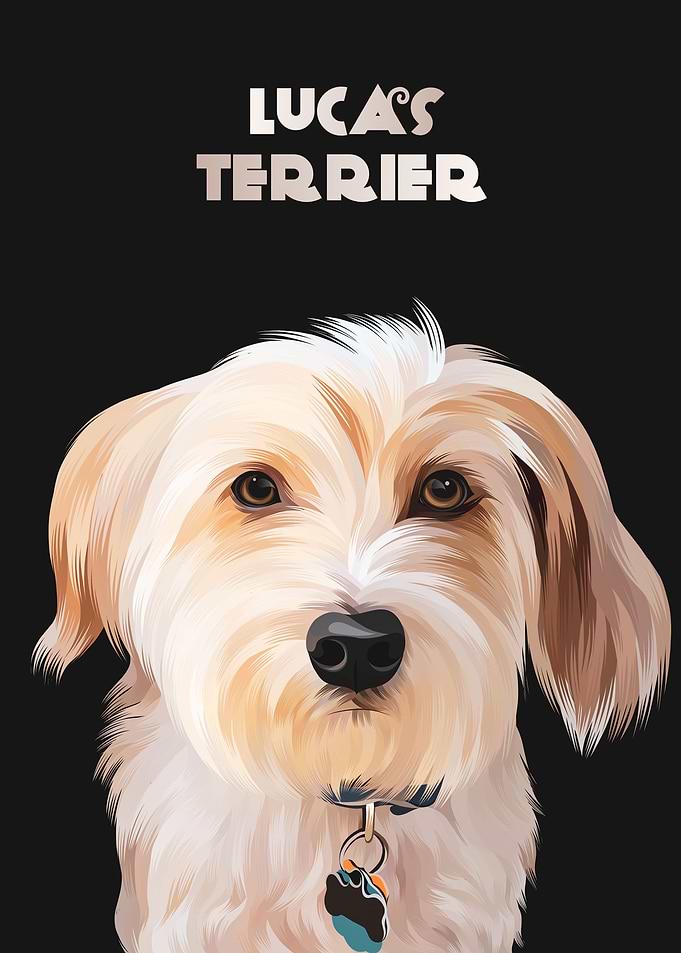 Lucas Terrier