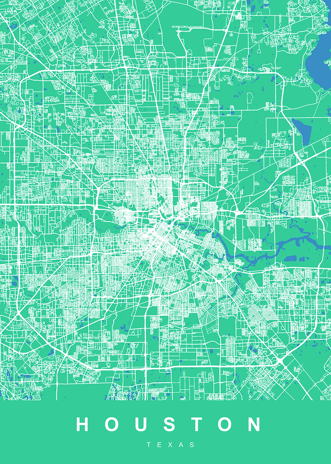 HOUSTON Map TEXAS