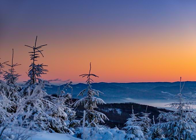 Winter mountains and tree