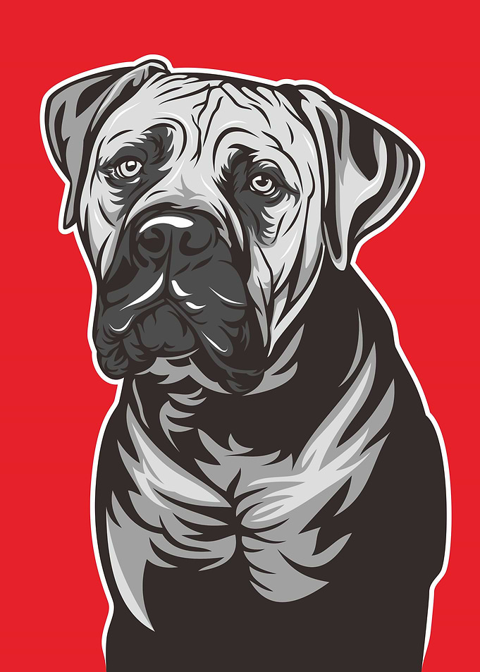 BIGASS DOG