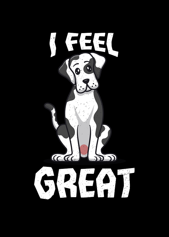 I Feel Great