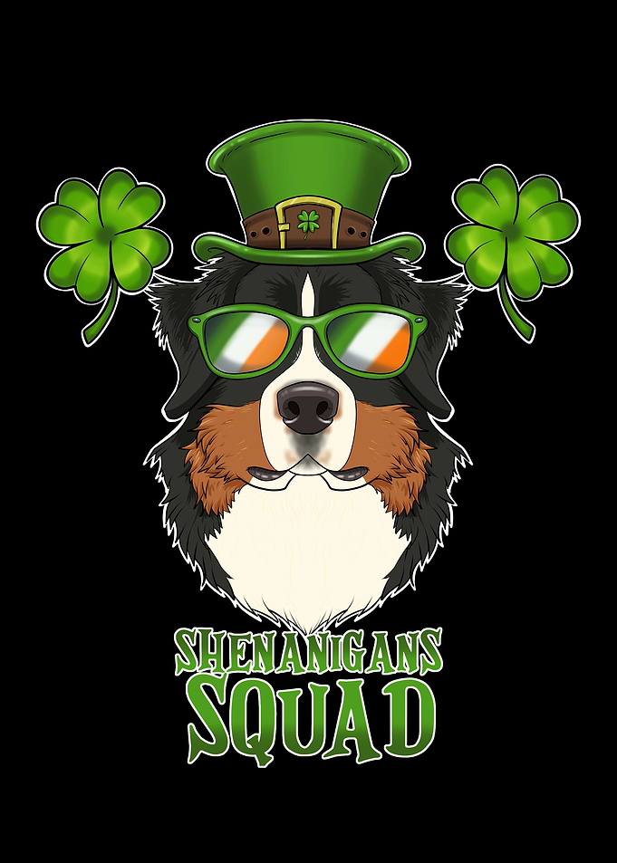 Bernese Mountain Dog