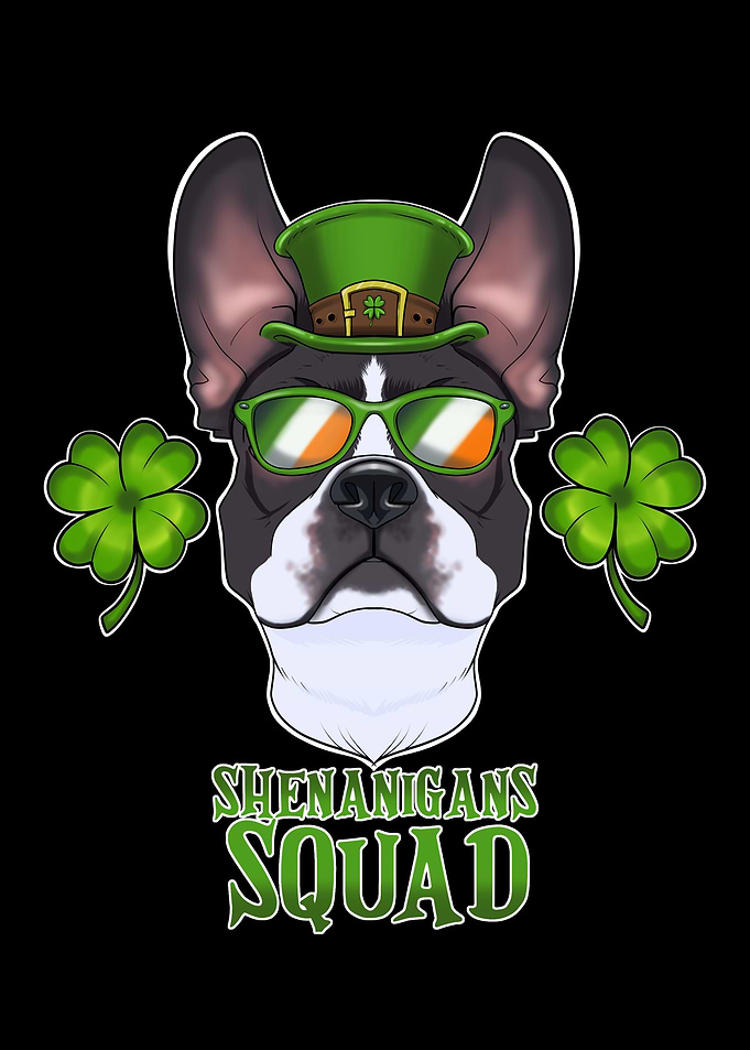 Boston Terrier