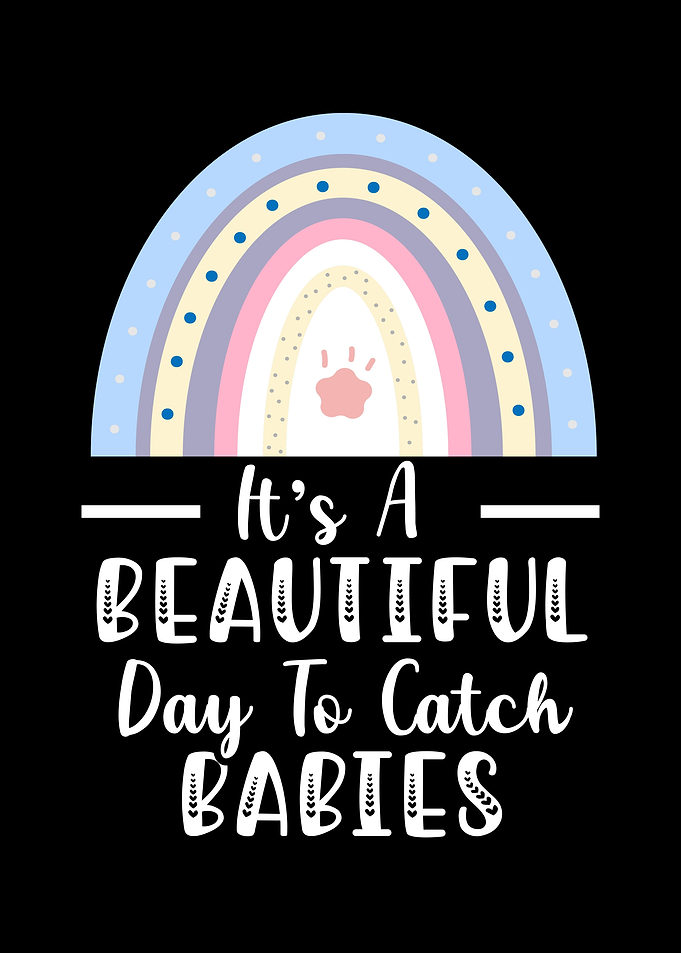 Catch Baby Doula