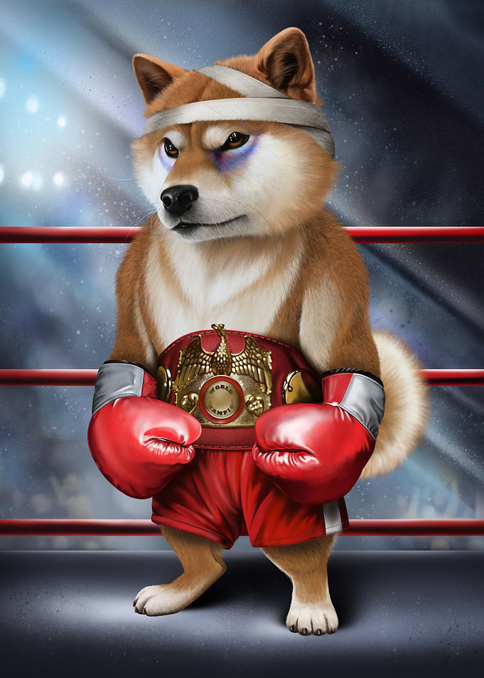 Shiba Dog Boxing Fighter