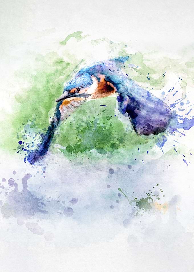Flying Kingfisher