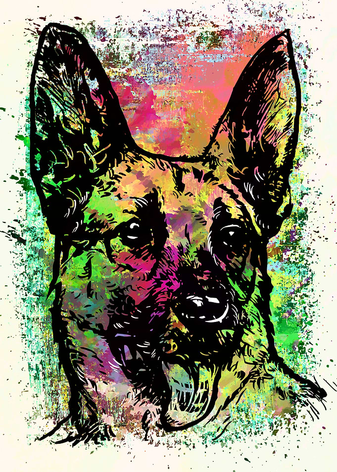 Colorful dog