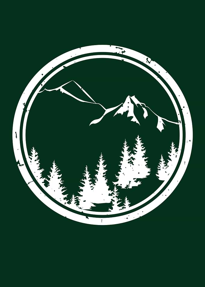 Mountains and forest