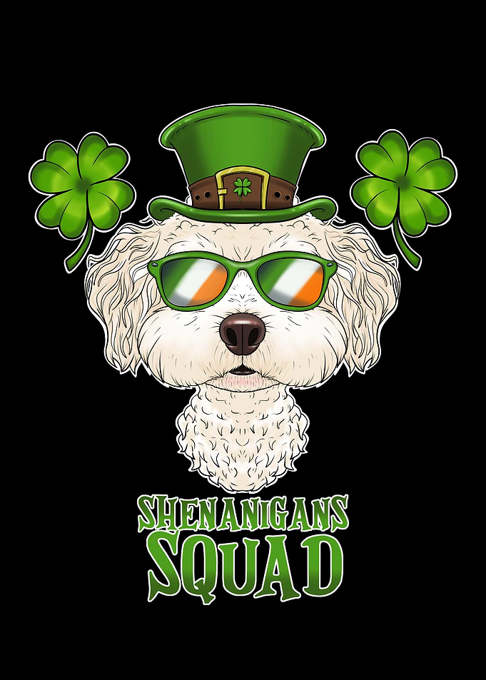 Bichon Frise St Patrick