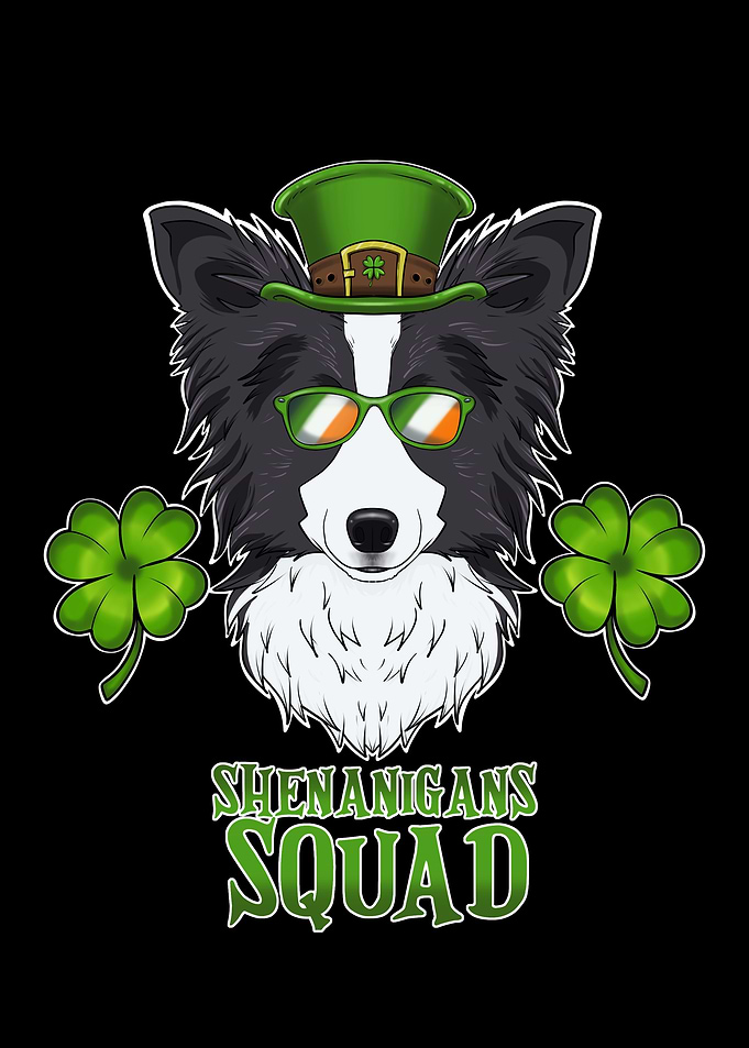 Border Collie St Patricks