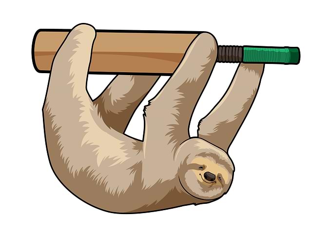 Sloth Cricket Cricket bat