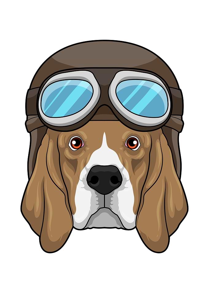 Beagle Pilot Pilot hat