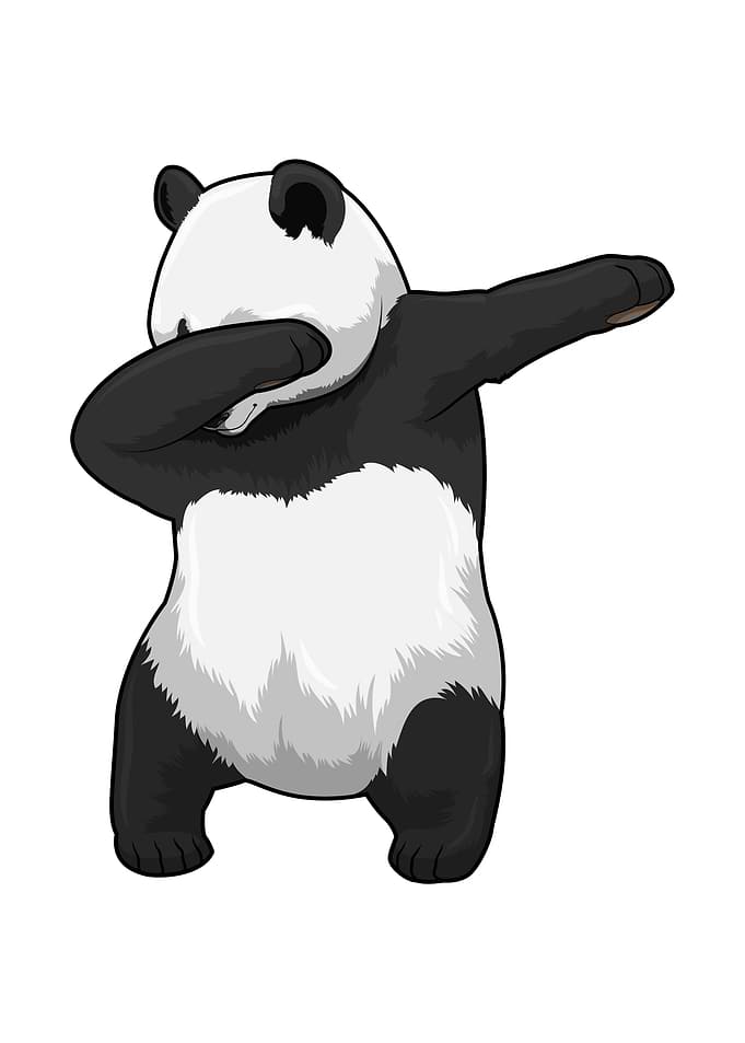 Panda Hip Hop Dance Dab