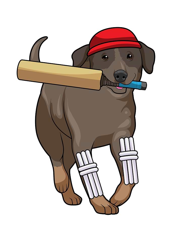 Dog Cricket Cricket bat