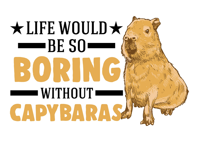 Life Would Be So Boring Wi