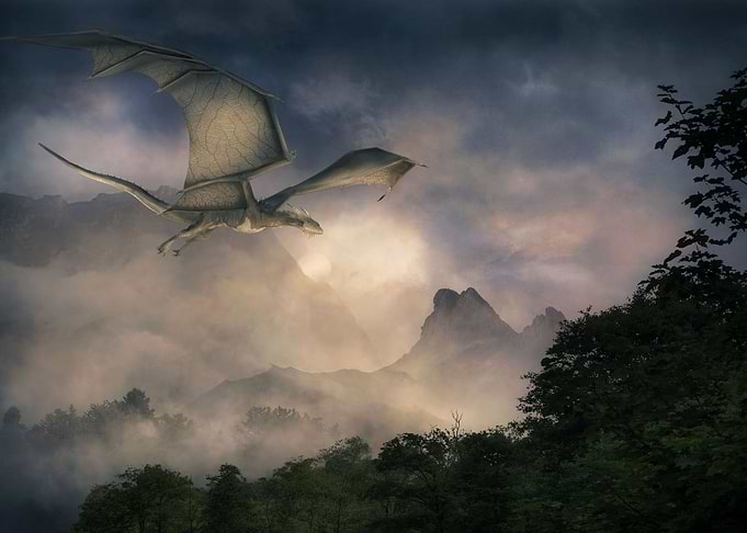 The wild Dragons