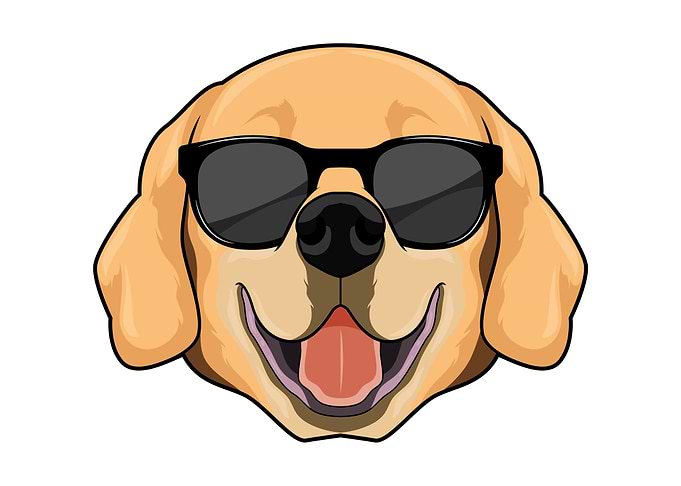 Labrador Sunglasses