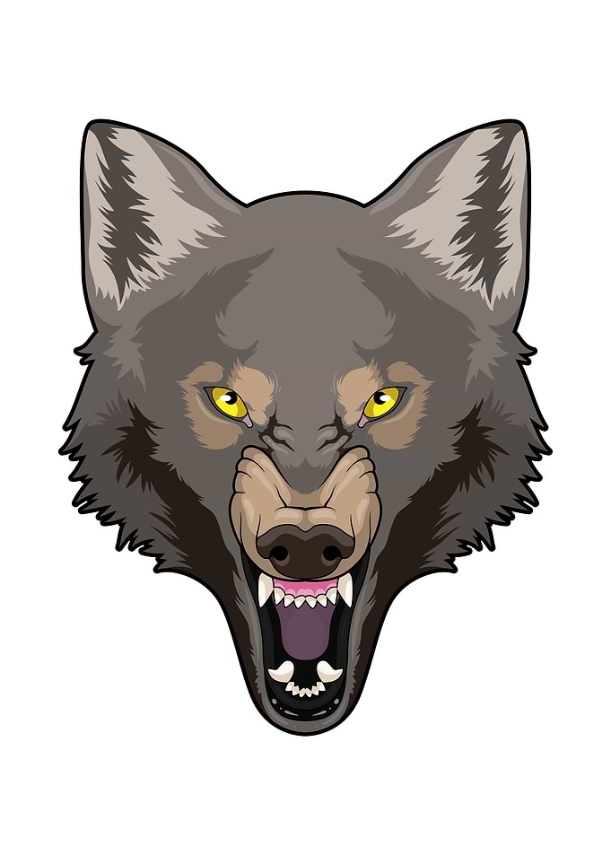 Angry Wolf