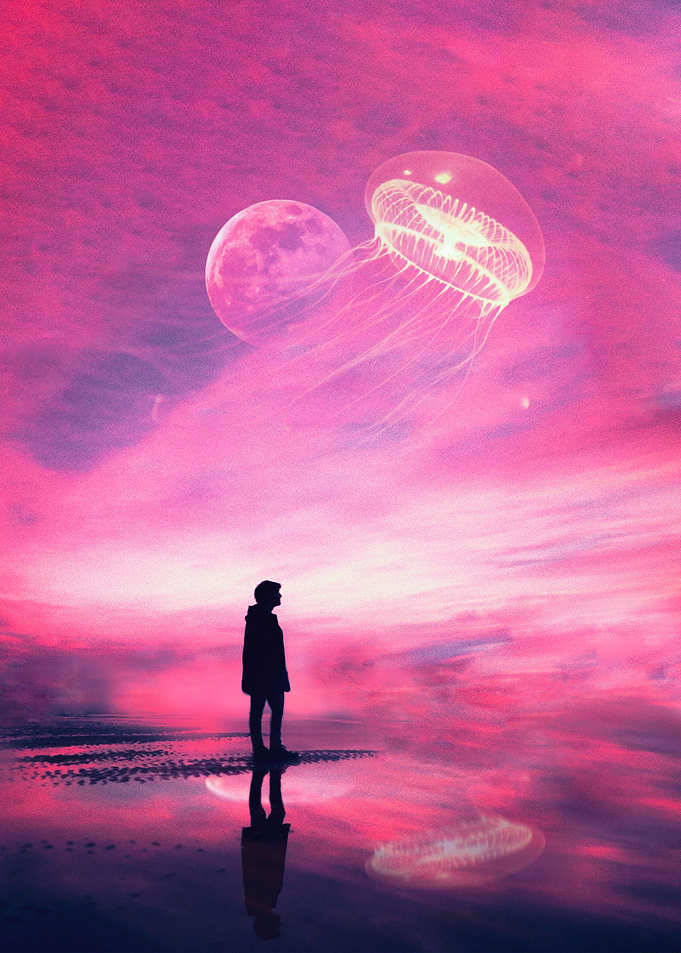 magenta sunset