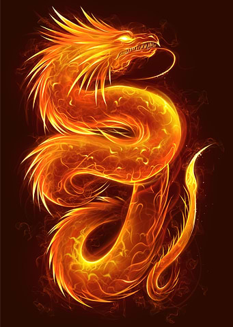 Chinese Fire Dragon