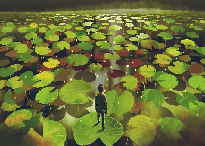 giant water lillys