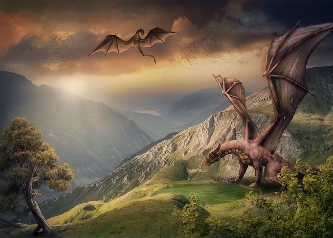 The wild Dragons