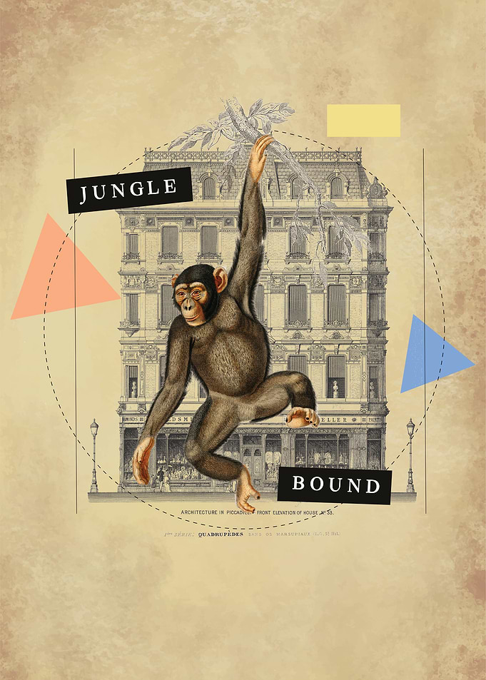 Vintage Monkey Collage