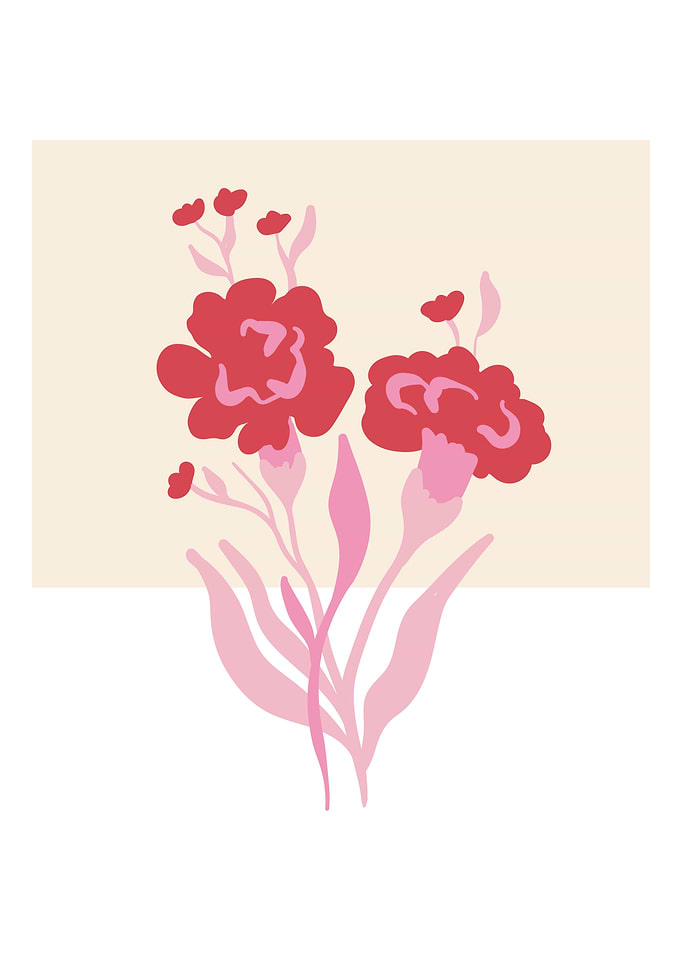 Botanical pink flowerplant