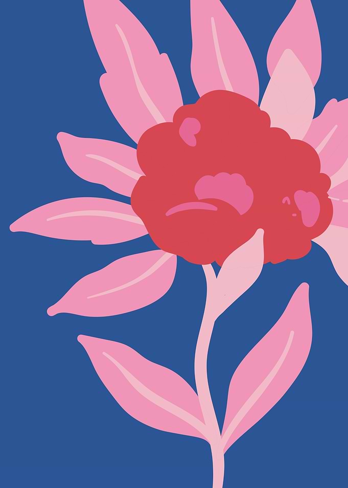 Elegant tropical flower