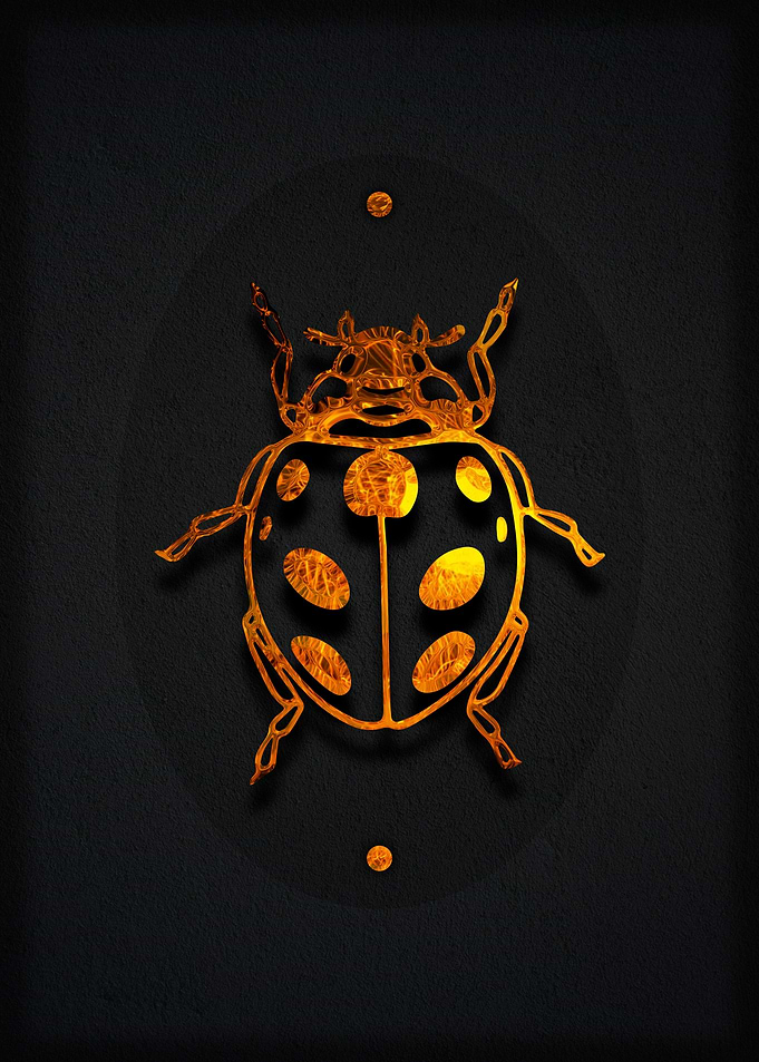 Ladybug