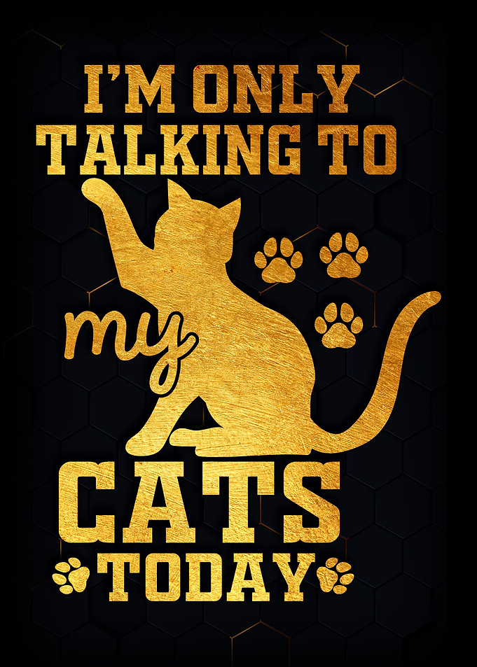 I am only talking
