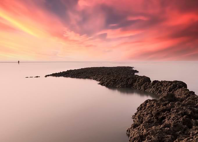 Algae Reef Sunset