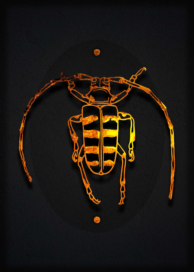 Golden Bug