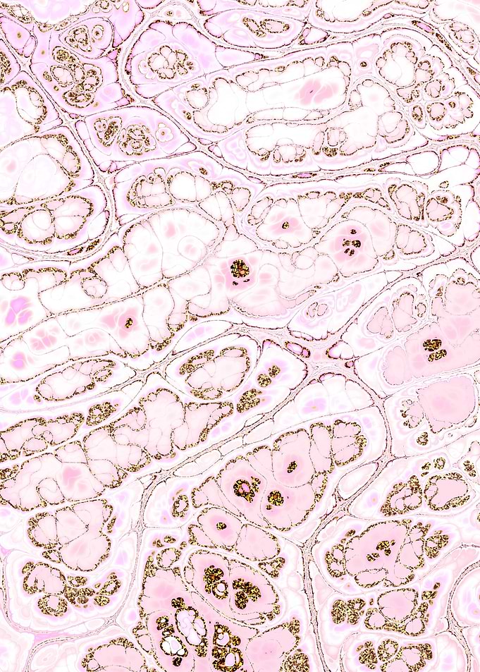 Pink Gold Marble 08