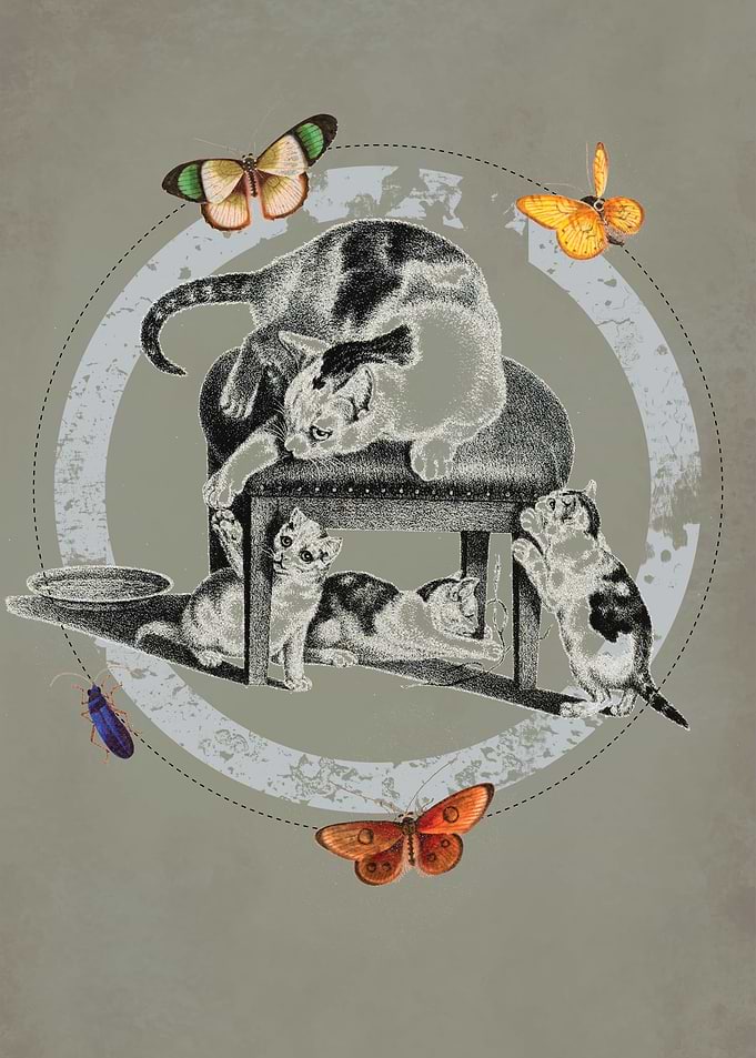 Vintage Cats Butterflies