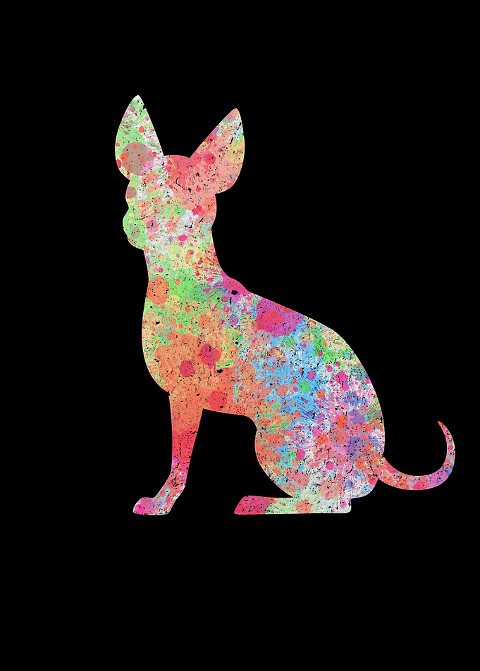Chihuahua PopArt Style